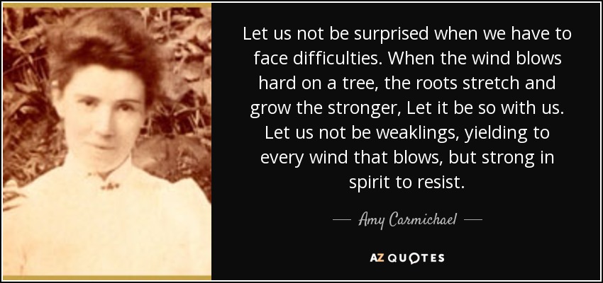 quote-let-us-not-be-surprised-when-we-have-to-face-difficulties-when-the-wind-blows-hard-on-amy-carmichael-85-61-76